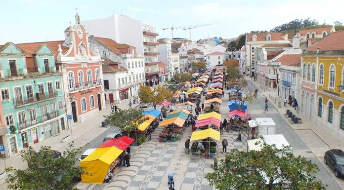 Feira dos Frutos vai ter uma mini Praça da Fruta a funcionar