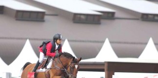 Caldense em destaque no Europeu de Hipismo Gazeta das Caldas