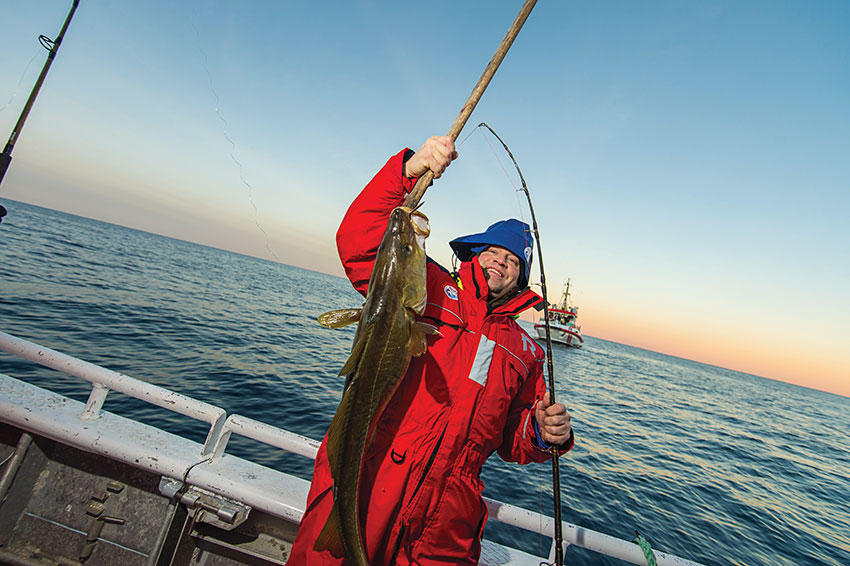 Quase metade do bacalhau pescado na Noruega acaba na mesa dos portugueses