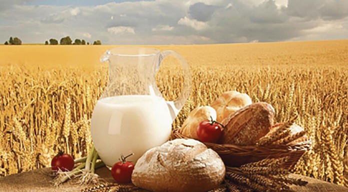 O que são restrições alimentares?