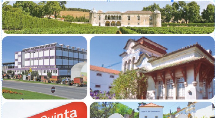 Circuito de Óbidos mostra valor vinícola da região