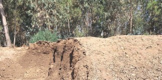 Danos ambientais no Chão da Parada