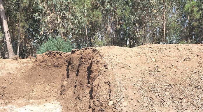 Danos ambientais no Chão da Parada