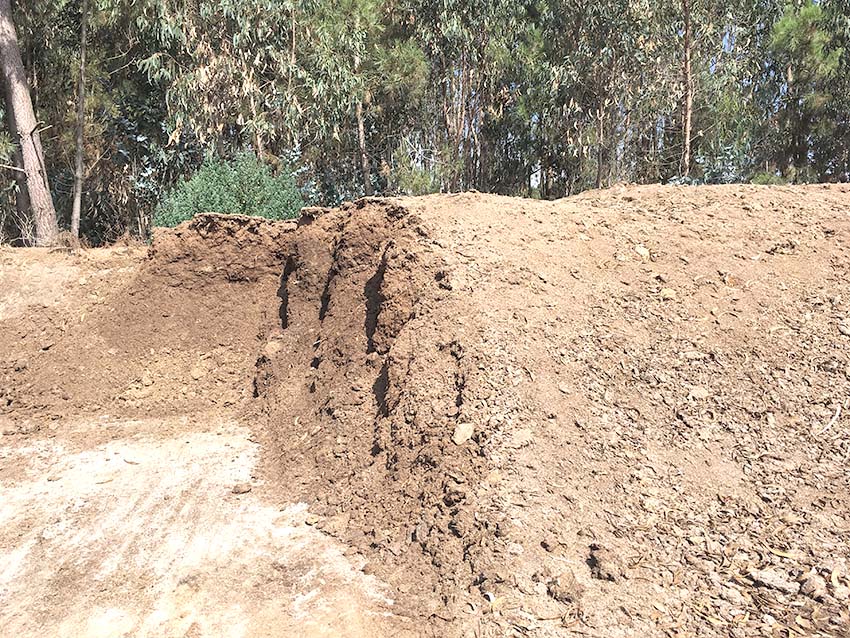 Danos ambientais no Chão da Parada