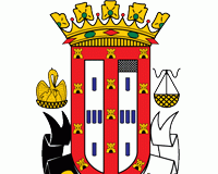 Futebol: Juvenis do Caldas empatam FC Porto B