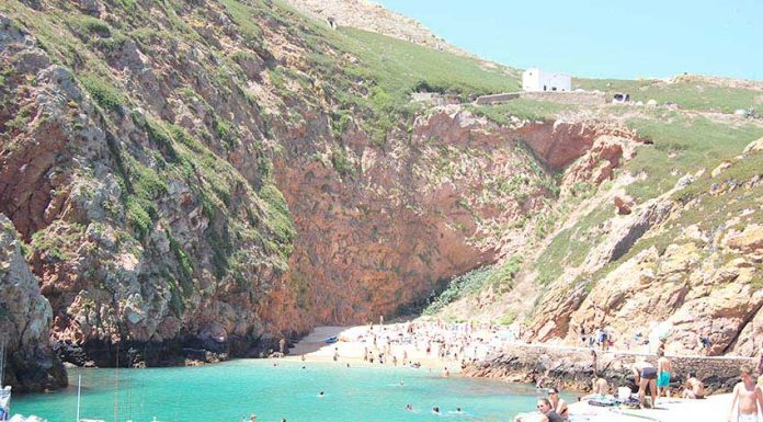 Reserva das Berlengas representada em reunião da UNESCO