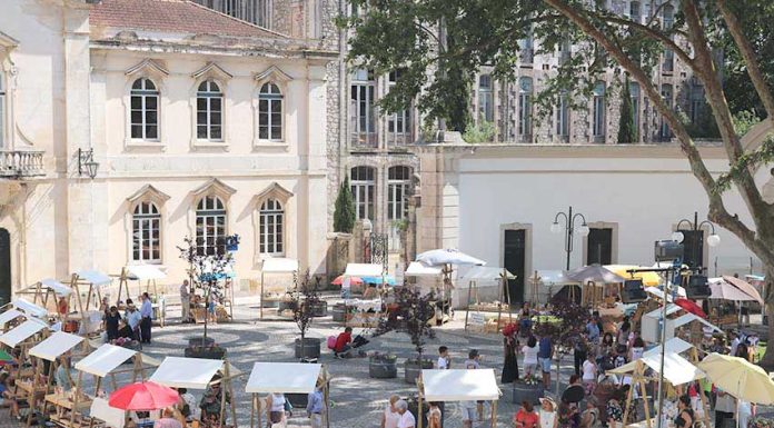 Mercado Caldas Cria amanhã no Largo do Termal