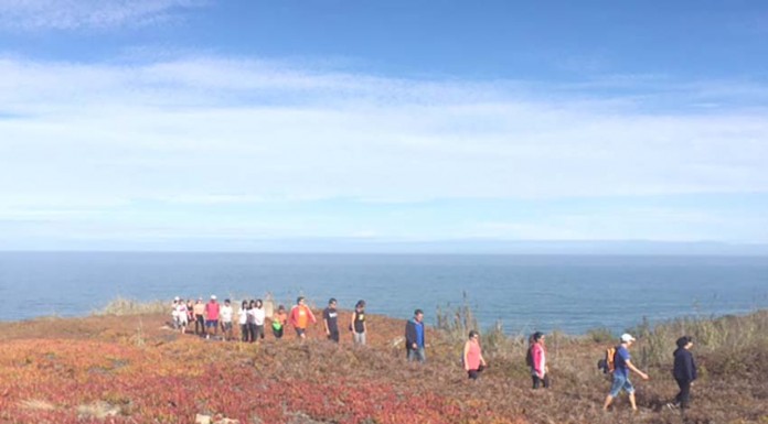Sociais-democratas querem expandir passadiços até à Serra do Bouro Gazeta das Caldas