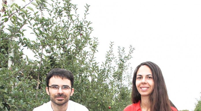 A primeira sidra cem por cento portuguesa é feita no Bombarral