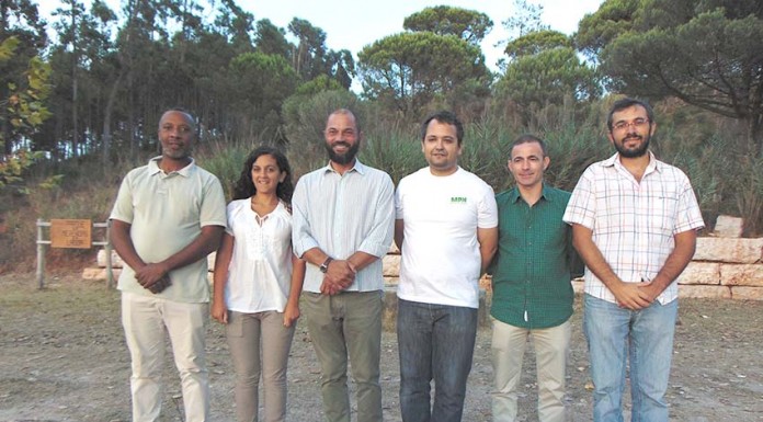 Movimento pelo Nadadouro quer praia fluvial na freguesia Gazeta das Caldas