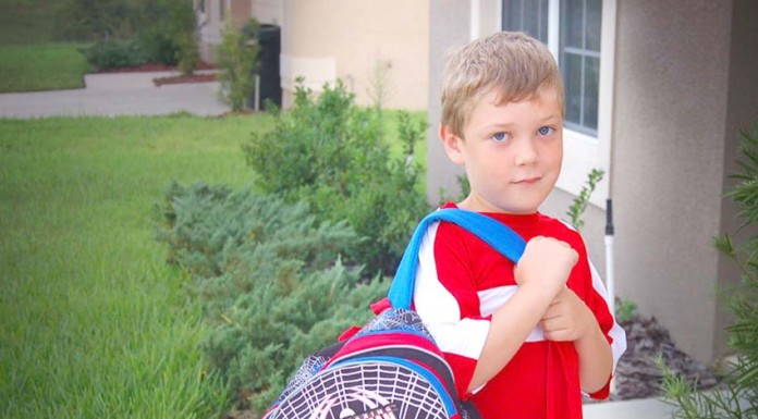 Saúde em Ponto Pequeno | De Volta à Escola