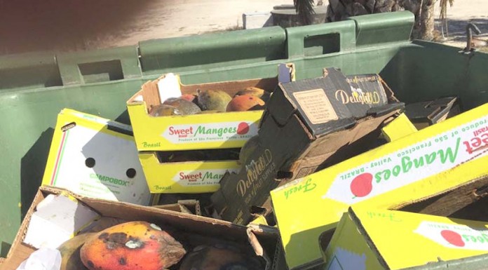 Fruta do BAO imprópria para consumo Gazeta das Caldas