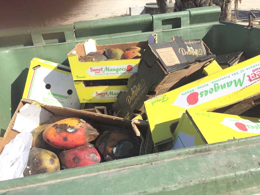 Fruta do BAO imprópria para consumo