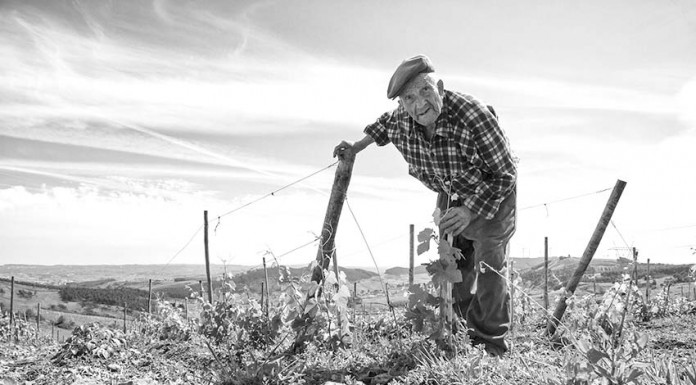 Retratos da vida campestre vencem concurso de fotografia do Cadaval Gazeta das Caldas