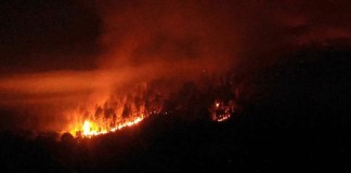 Incêndio com cinco focos à noite nos Casais Brancos (Óbidos) O incêndio deflagrou às 23h00