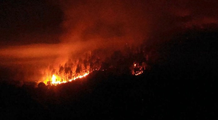 Incêndio com cinco focos à noite nos Casais Brancos (Óbidos) O incêndio deflagrou às 23h00