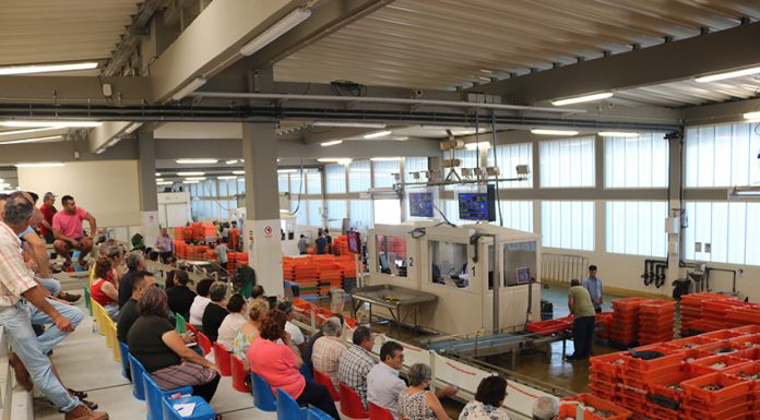 Peniche é a lota que mais factura em Portugal