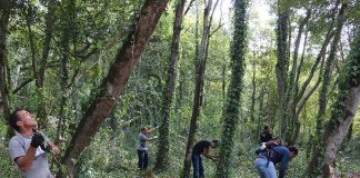 Geocachers juntaram-se para limpar a Mata