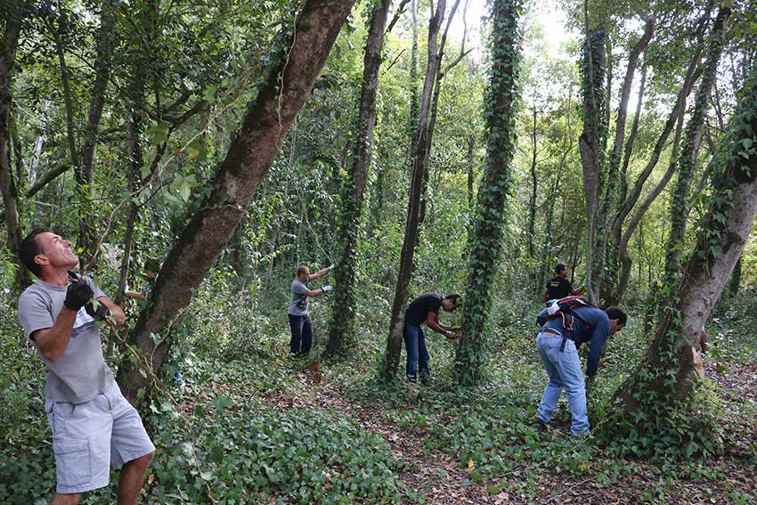 Geocachers juntaram-se para limpar a Mata