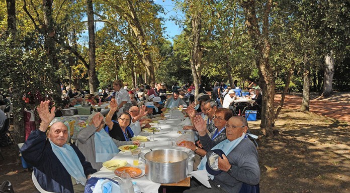 Dia Internacional do Idoso celebrado no parque D. Carlos I