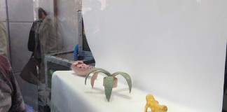 Cerâmica volta a invadir as montras do comércio caldense Gazeta das Caldas