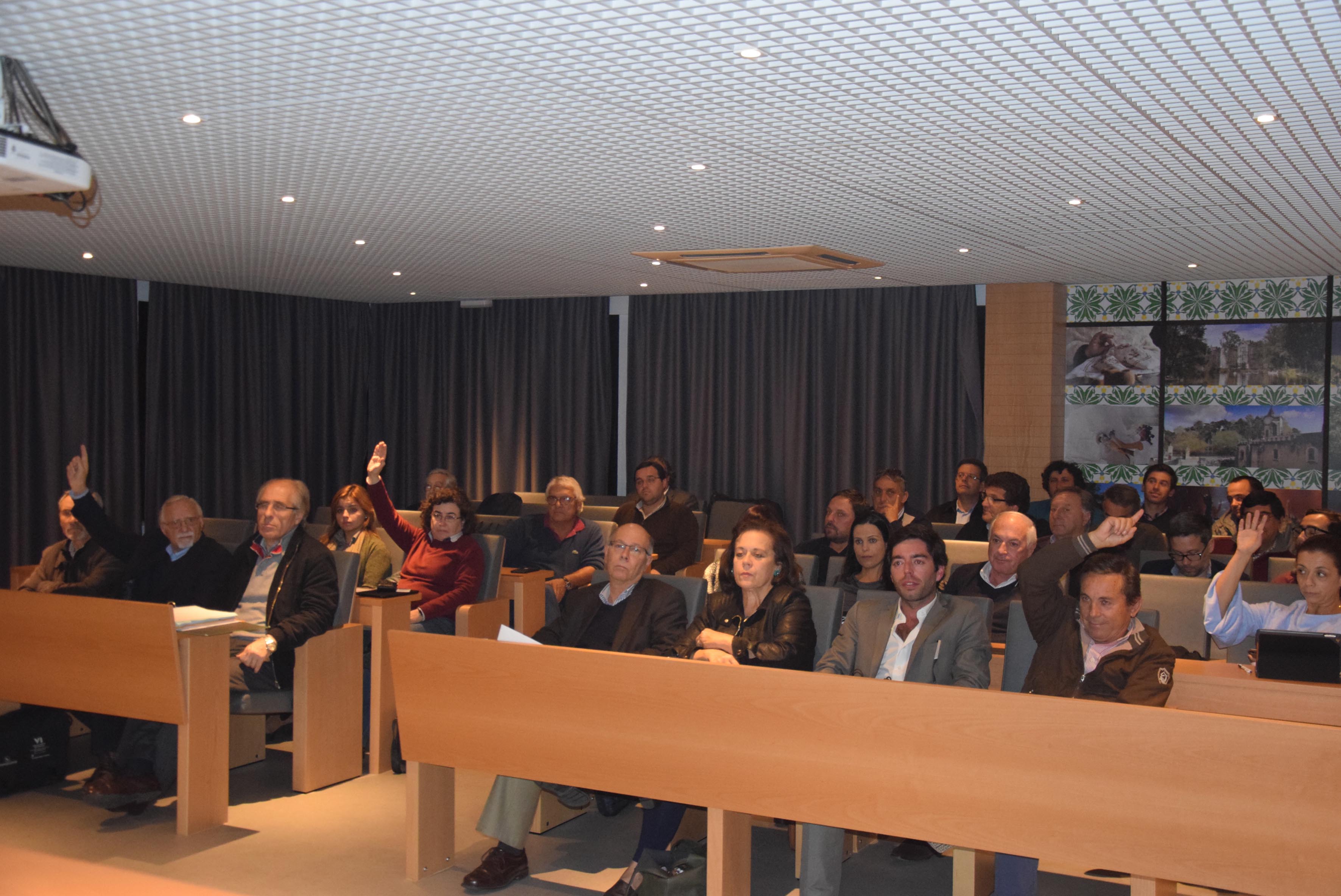 Caldas da Rainha mantém os impostos municipais mais baixos da região  mas nem todos estão de acordo