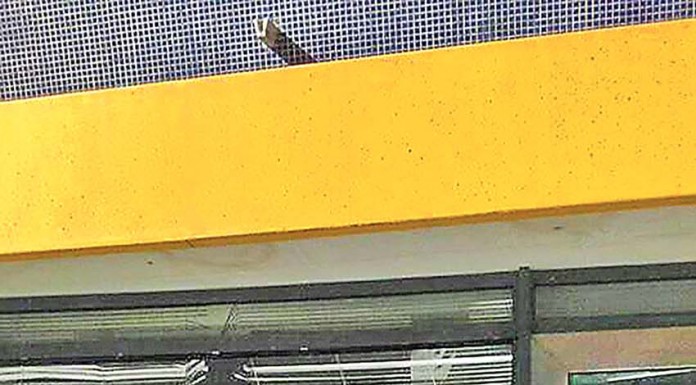 Mais um assalto ao multibanco nas Caldas