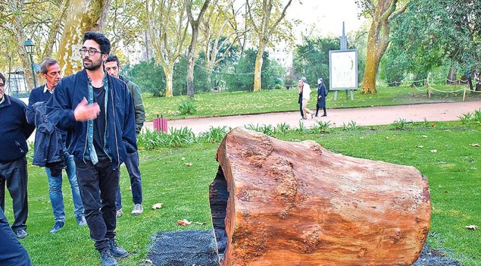 Um Céu de Folhas reuniu intervenções artísticas sobre o Parque Gazeta das Caldas