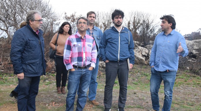 Eurodeputado João Pimenta visitou área ardida e defende aposta na prevenção dos incêndios Gazeta das Caldas