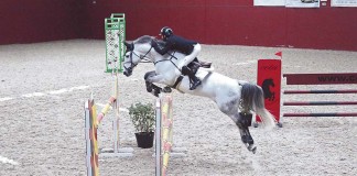 Gil Santos volta a triunfar no CEIA Gazeta das Caldas