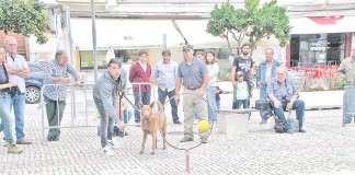 Gincãona da Amigo Fiel teve uma estreia promissora