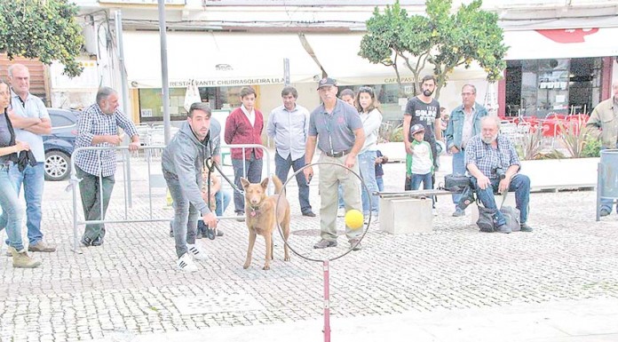 Gincãona da Amigo Fiel teve uma estreia promissora