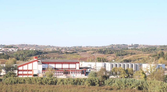 Cooperativas da Vermelha e do Cadaval produziram mais de 12 milhões de litros de vinho em 2016 Gazeta das Caldas