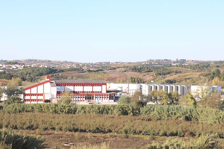 IV-AdegaVermelhaI Gazeta das Caldas