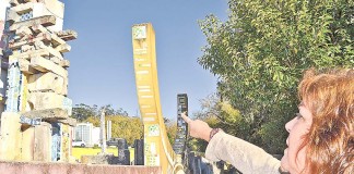 Câmara e CHO sem diálogo nem soluções para preservar o Jardim de Água de Ferreira da Silva Gazeta das Caldas