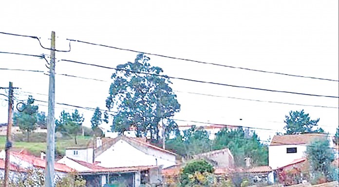 BE realiza magusto pelo património no Nadadouro Gazeta das Caldas