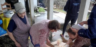 MVC entregou bens e animais às vítimas dos incêndios Gazeta das Caldas