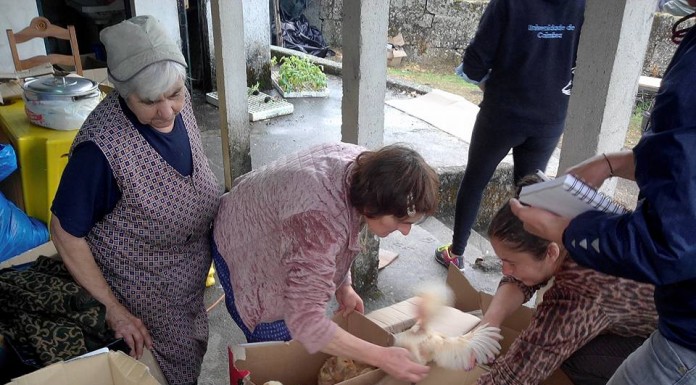 MVC entregou bens e animais às vítimas dos incêndios Gazeta das Caldas