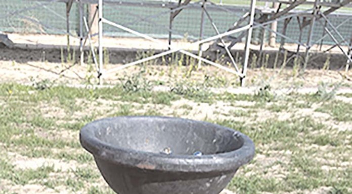 Bebedouros do Abraço Verde vão ser substituídos Gazeta das Caldas