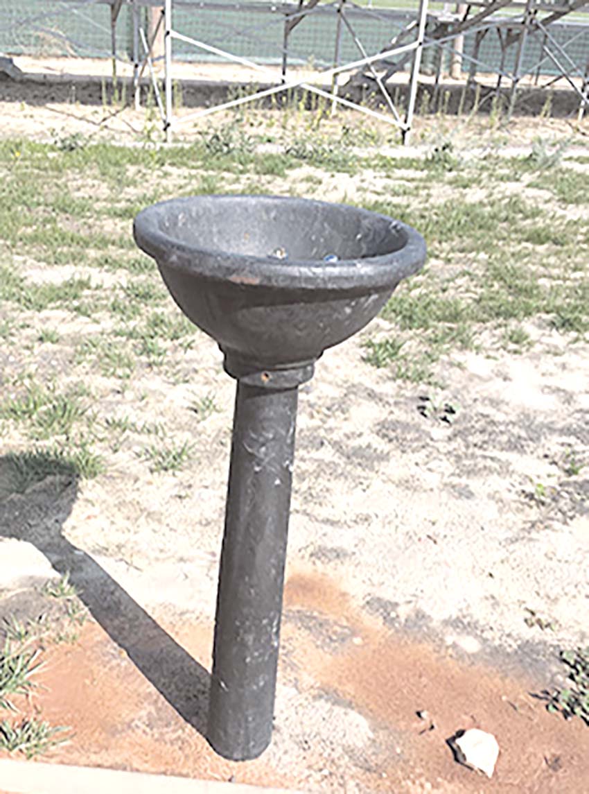 Bebedouros do Abraço Verde vão ser substituídos