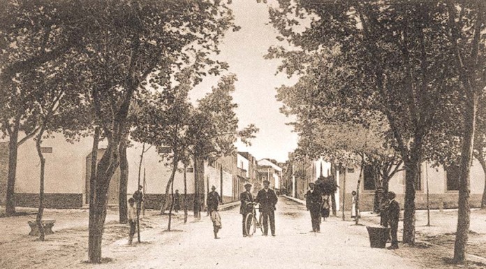 O contexto da fundação dos Bombeiros Voluntários das Caldas da Rainha Gazeta das Caldas