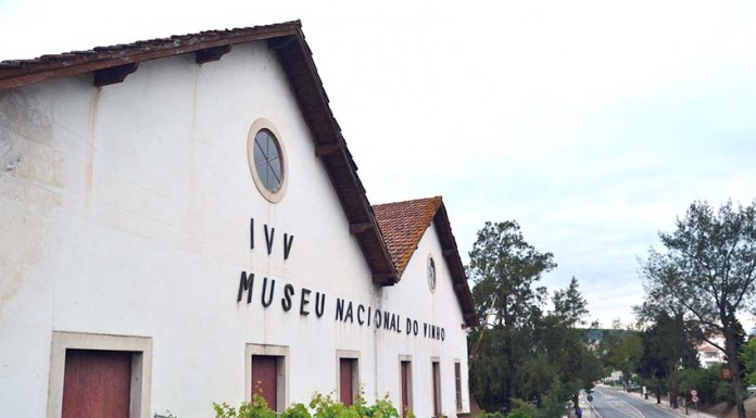 Museu do Vinho de Alcobaça quer ser Museu Nacional Gazeta das Caldas
