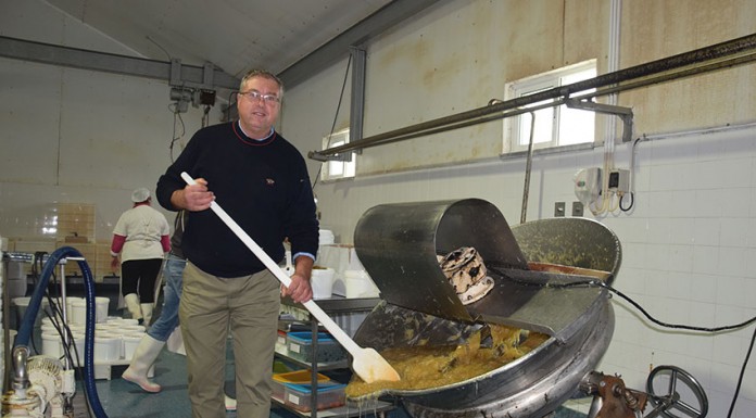 Fábrica na Sancheira Grande produz mais de 60 toneladas de fruta para o Bolo Rei O empresário Heitor Conceição