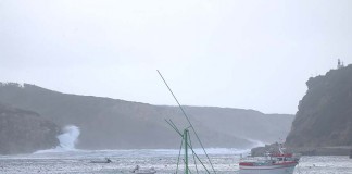 Tempestade Ana causou 134 ocorrências na região Gazeta das Caldas