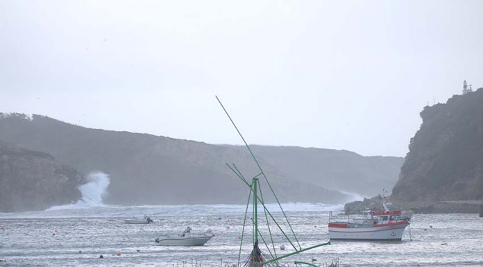 Tempestade Ana causou 134 ocorrências na região Gazeta das Caldas