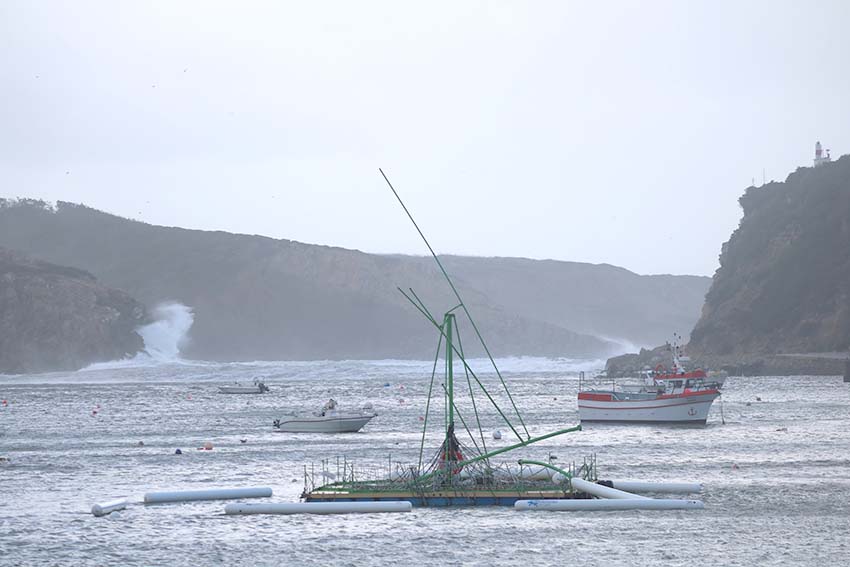 Tempestade Ana causou  134 ocorrências na região