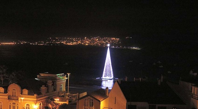 Árvore flutuante de São Martinho do Porto com jogos de cores Gazeta das Caldas