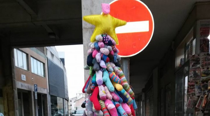 Árvores de Natal estão a concurso na Avenida Gazeta das Caldas