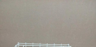 Exposição Nacional de Columbofilia em Tavira Gazeta das Caldas