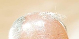 João Serra integra Comissão de Instalação do Museu da Resistência de Peniche Gazeta das Caldas